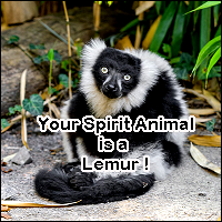 lemur